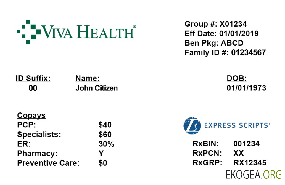Carte d'assurance maladie VivaHealth aux États Unis